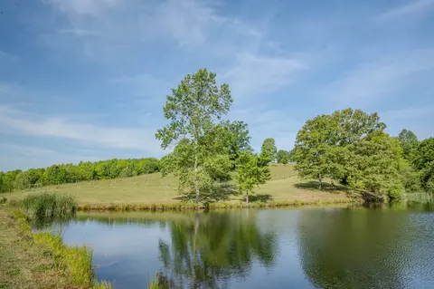875 Waterloo Rd, Westpoint, TN 38486 photo 34