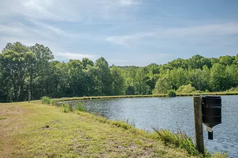 875 Waterloo Rd, Westpoint, TN 38486 photo 50