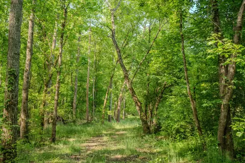 875 Waterloo Rd, Westpoint, TN 38486 photo 56