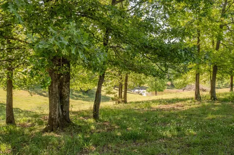 875 Waterloo Rd, Westpoint, TN 38486 photo 81