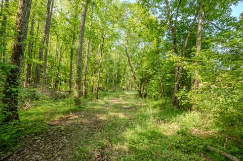 875 Waterloo Rd, Westpoint, TN 38486 photo 54