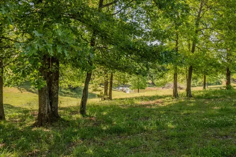 875 Waterloo Rd, Westpoint, TN 38486 photo 80