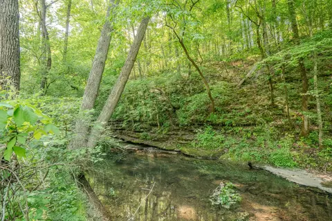 875 Waterloo Rd, Westpoint, TN 38486 photo 63