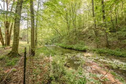 875 Waterloo Rd, Westpoint, TN 38486 photo 66