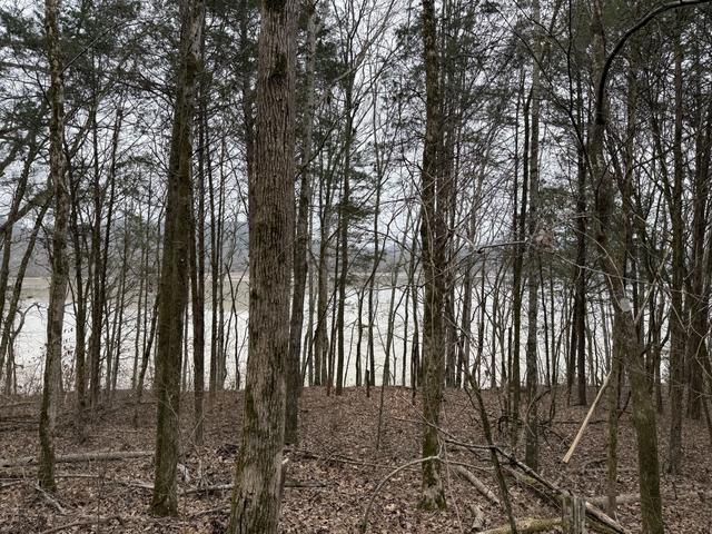 0 Cook Ln, Gainesboro, TN 38562