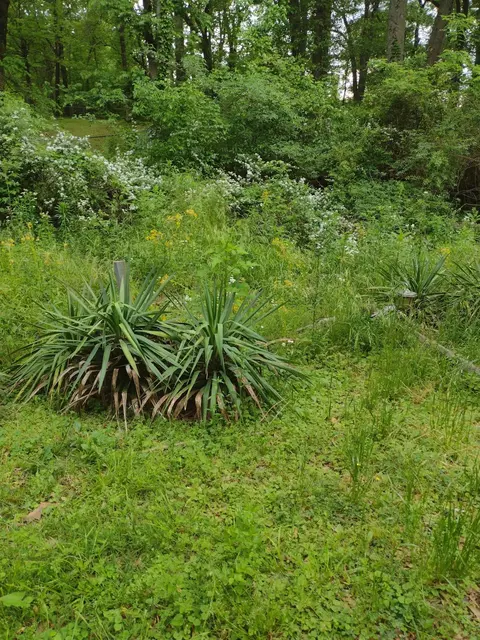 0 Osceola Cir, Memphis, TN 38109