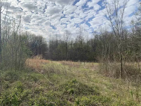 0 Mulberry Rd, Atoka, TN 38004