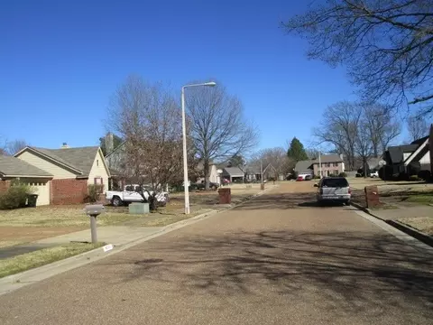 8014 Allbright Cv, Memphis, TN 38133 photo 6