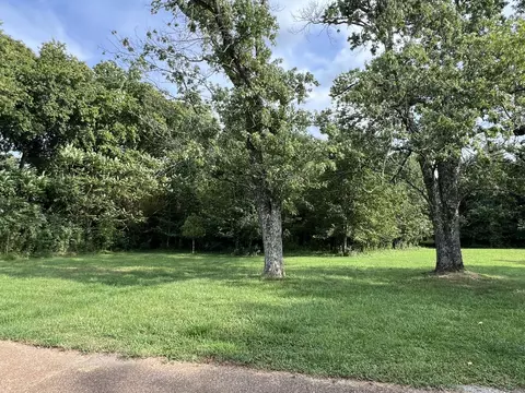 Exterior - 250 Chipman Rd, Bethpage, TN 37022 photo 8 of 12
