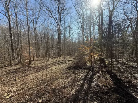 26 Backwoods Ests, Indian Mound, TN 37079
