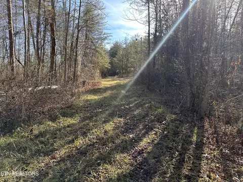 1456 Acres Hwy 52, Robbins, TN 37852