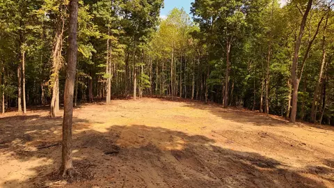 7950 Bill Moss Rd, White House, TN 37188