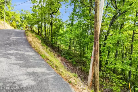 1 Hatcher Top Rd, Sevierville, TN 37862 photo 2