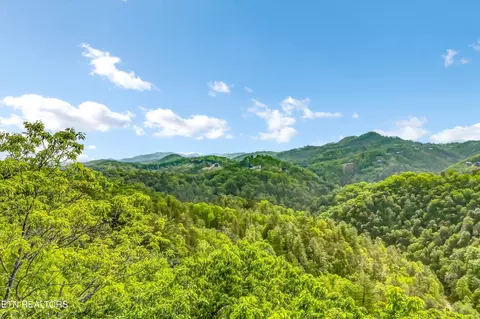 1 Hatcher Top Rd, Sevierville, TN 37862 photo 40