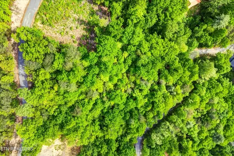 1 Hatcher Top Rd, Sevierville, TN 37862 photo 4
