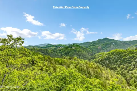 1 Hatcher Top Rd, Sevierville, TN 37862 photo 39