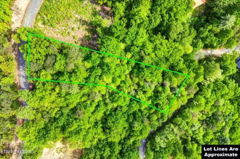 1 Hatcher Top Rd, Sevierville, TN 37862 photo 3