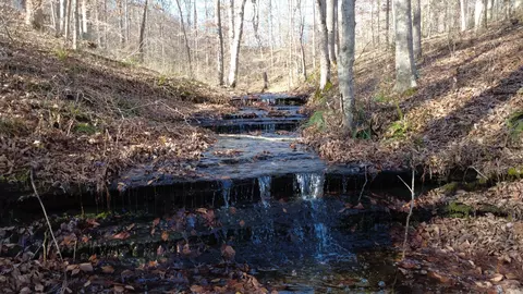 314 Burns Hollow Rd, Waynesboro, TN 38485