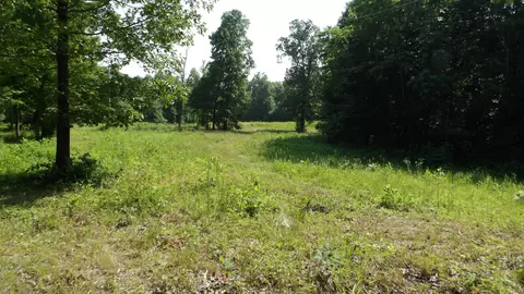 0 Pleasant Cemetery Ln, Gainesboro, TN 38562