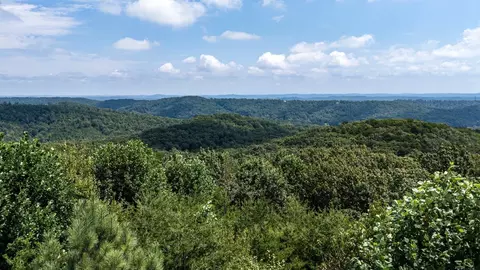 8346 Balata Dr, Ooltewah, TN 37363