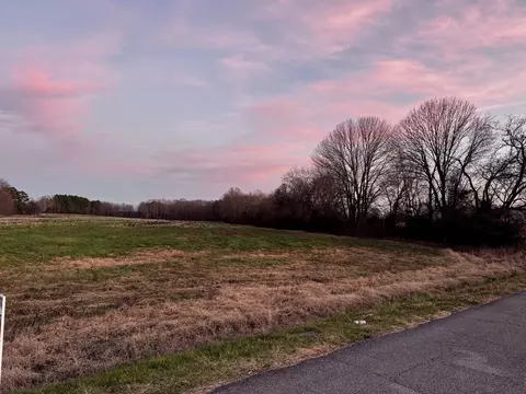 0 Bluff Rd, Loretto, TN 38469