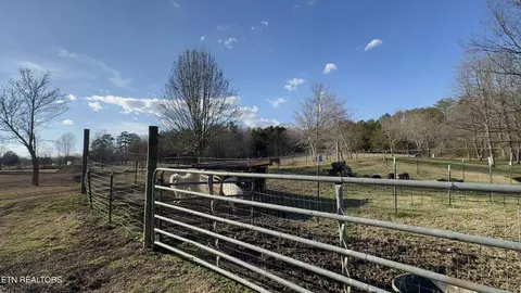 357 Doc Norton Rd, Walland, TN 37886 photo 11