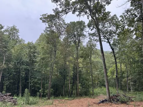 453 Gravely Hill Rd, Bethpage, TN 37022