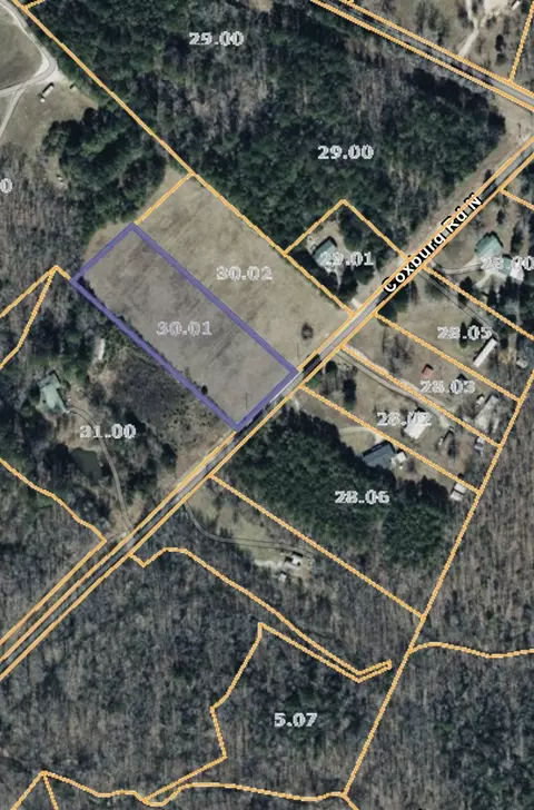 199 Coxburg Rd, Holladay, TN 38341