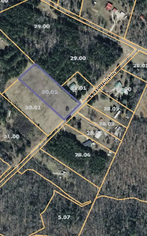 135 Coxburg Rd, Holladay, TN 38341