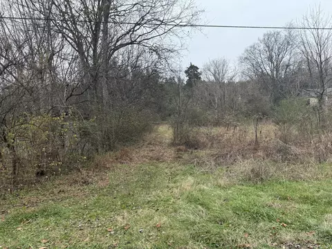 0 Lewis Rd, Santa Fe, TN 38482