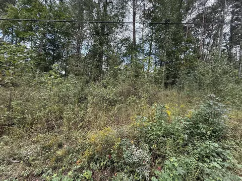 0 Longleaf Dr, Rocky Face, GA 30740