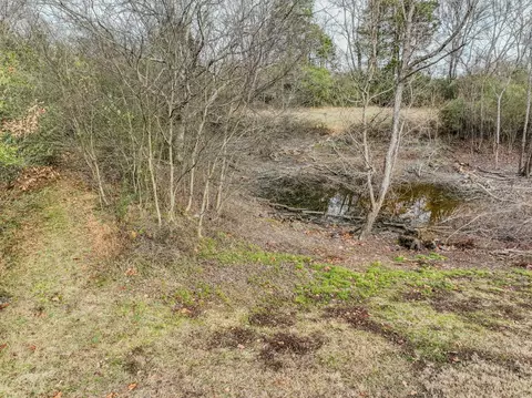 View/Area - 52 Lindsey Rd, Loretto, TN 38469 photo 10 of 17