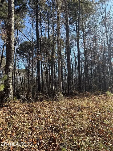 9 Hwy 70 N, Monterey, TN 38574