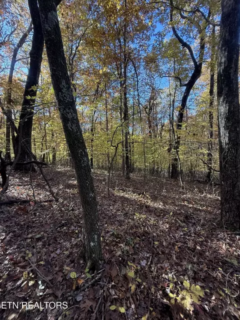 29 Crest Rd, Monterey, TN 38574