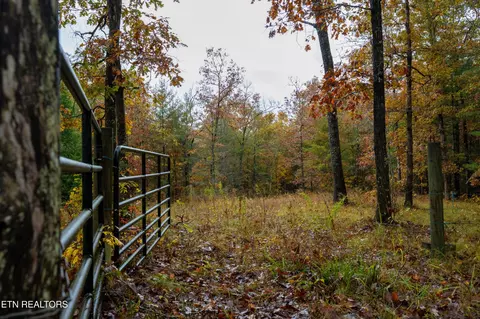 0 Trailhead Ln, Jamestown, TN 38556