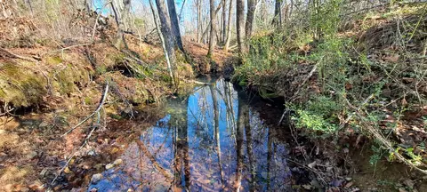 View/Area - 0 NW Piney Rd, Dickson, TN 37055 photo 2 of 4