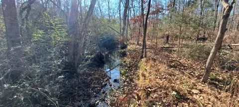 View/Area - 0 NW Piney Rd, Dickson, TN 37055 photo 3 of 4