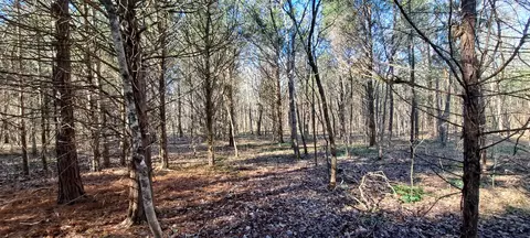 Other - 0 NW Piney Rd, Dickson, TN 37055 photo 6 of 17