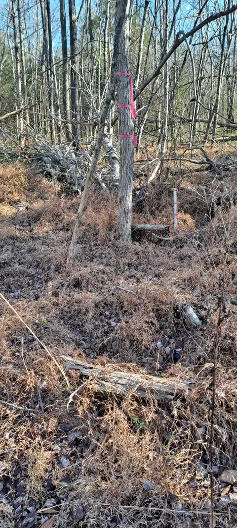 Other - 0 NW Piney Rd, Dickson, TN 37055 photo 8 of 17