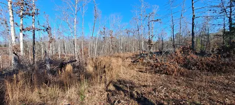 Other - 0 NW Piney Rd, Dickson, TN 37055 photo 13 of 17