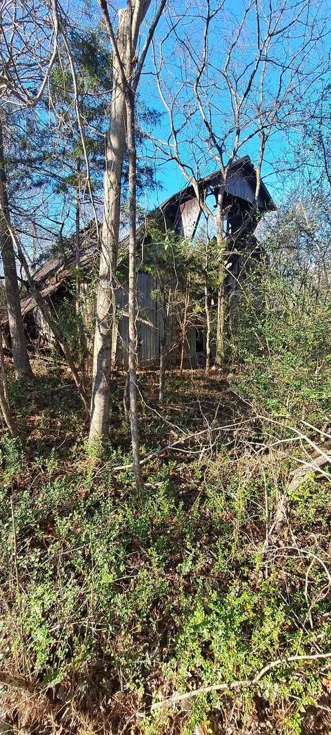 Other - 0 NW Piney Rd, Dickson, TN 37055 photo 4 of 17
