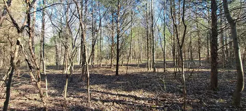 Other - 0 NW Piney Rd, Dickson, TN 37055 photo 3 of 17