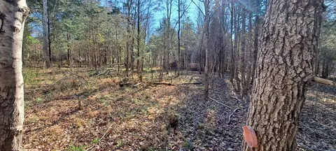 Other - 0 NW Piney Rd, Dickson, TN 37055 photo 7 of 17