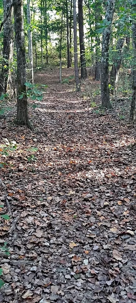 Other - 0 NW Piney Rd, Dickson, TN 37055 photo 14 of 17