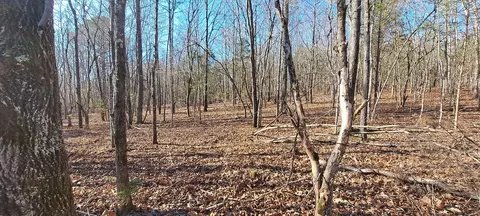 Other - 0 NW Piney Rd, Dickson, TN 37055 photo 10 of 17
