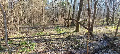 Other - 0 NW Piney Rd, Dickson, TN 37055 photo 1 of 17