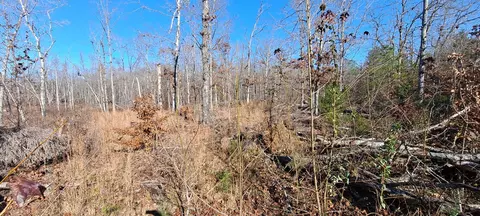 Other - 0 NW Piney Rd, Dickson, TN 37055 photo 11 of 17
