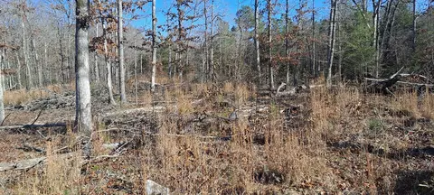 Other - 0 NW Piney Rd, Dickson, TN 37055 photo 12 of 17
