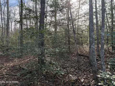 0 Walker Hollow Dr, Monterey, TN 38574