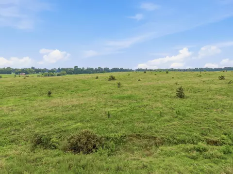 46 Caps Rd, Indian Mound, TN 37079